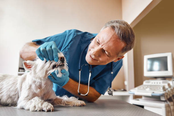 Best 24-Hour Emergency Dentist  in Jersey City, NJ